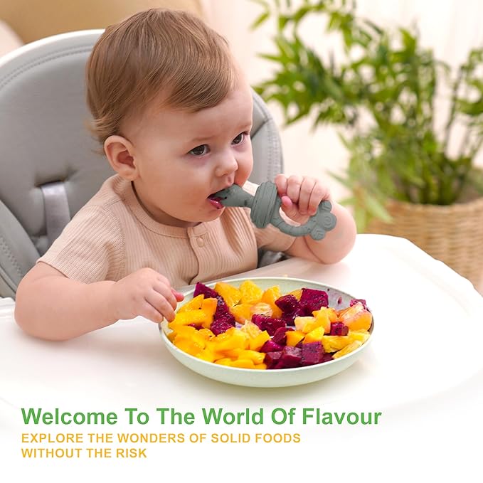 Baby Fruit Feeder Set – BPA-Free Silicone Fresh Food Feeder with 3 Replacement Teats, Teething Feeder for Fruits & Purees, Safe Self-Feeding for Babies 4+ Months