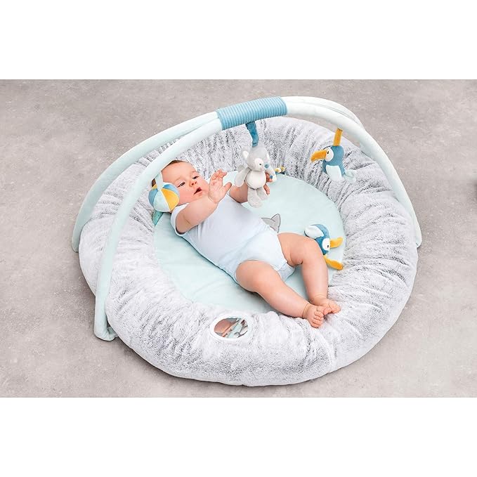 Nattou Tim and Tiloo Play Mat PlayGym with Arch for Security and Head Support 87 x 87 x 52 cm Blue/Grey