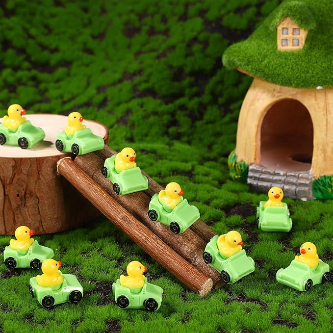 30pcs Ducks in a Car, Resin Car Duck Set Funny Mini Car Ducks Unique Rubber Ducks Small Animal Tiny Ducks Car Dashboard Decor Micro Landscape Duck