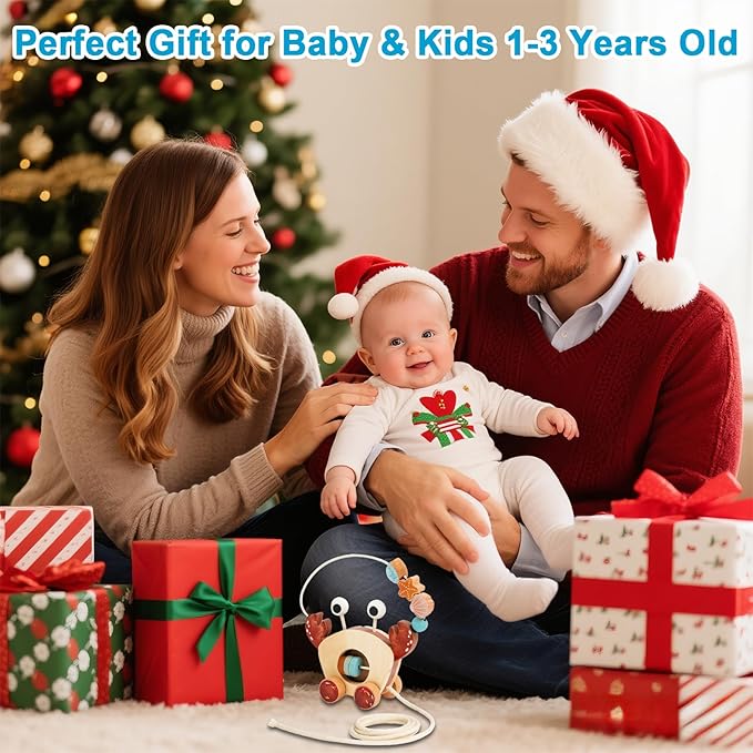 Pull-Along Walking Toys for Babies 12 Months +,4 in 1 Push and Pull Toy for Toddlers Aged 1-2 and 3-4 Years Old, Wooden Baby Toys, Montessori Early Development Sensory Toy
