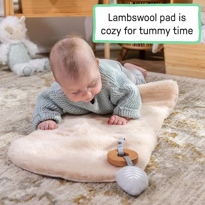 Ingenuity Every Season 2-in-1 Baby Rocker & Seat - Cooling and Warming Fabrics, Detachable Sustainable Wooden Activity Bar, Music, Vibration, for Ages 0-30 Months, Wesley (Grey)