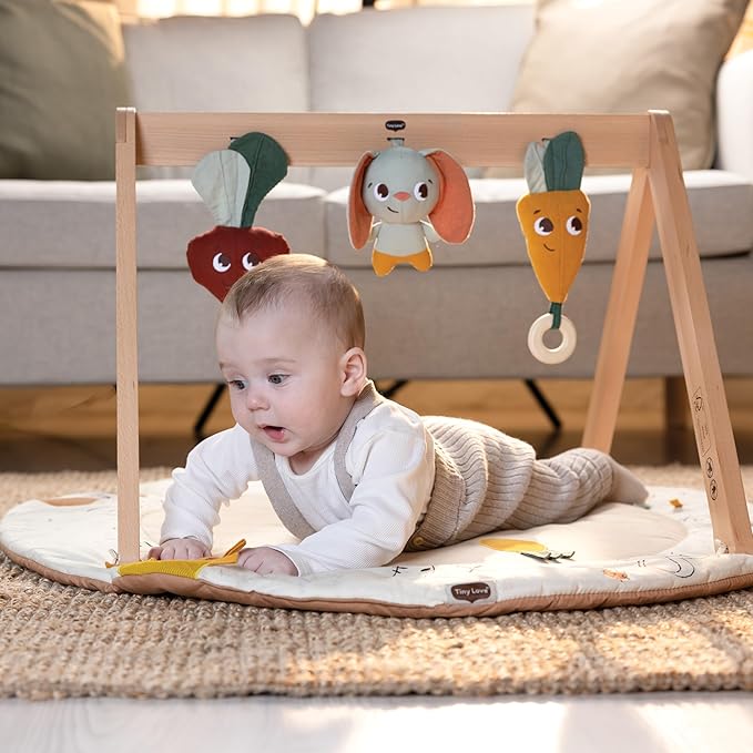 Tiny Love Gardens of Adventure, Luxe Developmental Gymini