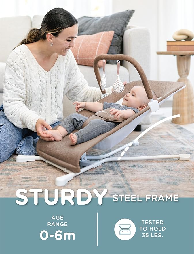 Baby Delight Highland Baby Bouncer | Infant | 0 – 6 Months | 3-Position Recline | Mocha Tweed