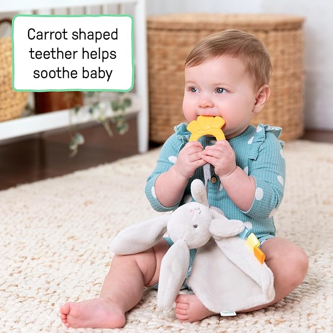 Ingenuity Cozy Sylvi Plush Lovey Baby Teether - Soothe Gums - Self Soothing - Plush Bunny - Ages 0M+ (Pack of 2)