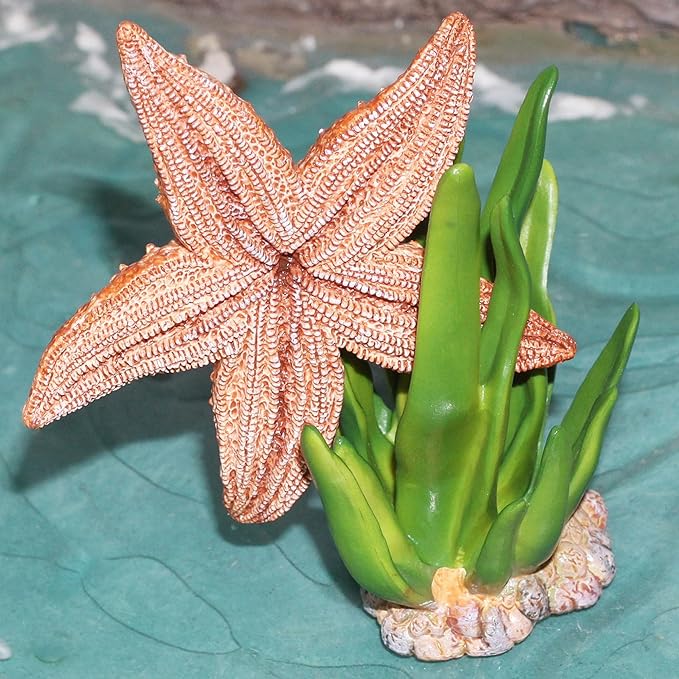 Gemini&Genius Starfish with Seaweed Ocean Toys for Kids 3-5 Years Old, Realistic Sea Animal Action Figures, Starfish Figurine for Toddlers, 2Pcs Gift for Educational, Display, Play, Collection Toys