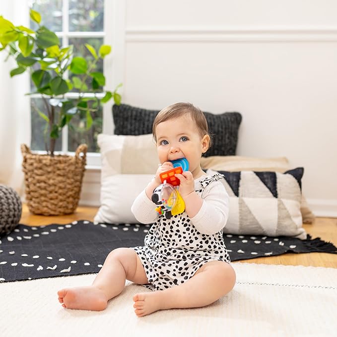 Baby Einstein Shake-a-Shape Zen Teether Toy, Multisensory, Ages 3 Months and Up