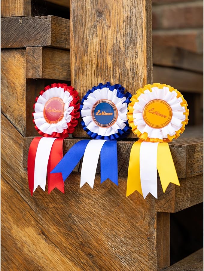 LeMieux Hobby Horse Rosette Pack - Set of Three Satin Winner Rosettes - Congratulate Your Hobby Horse - Suitable for Ages 3+