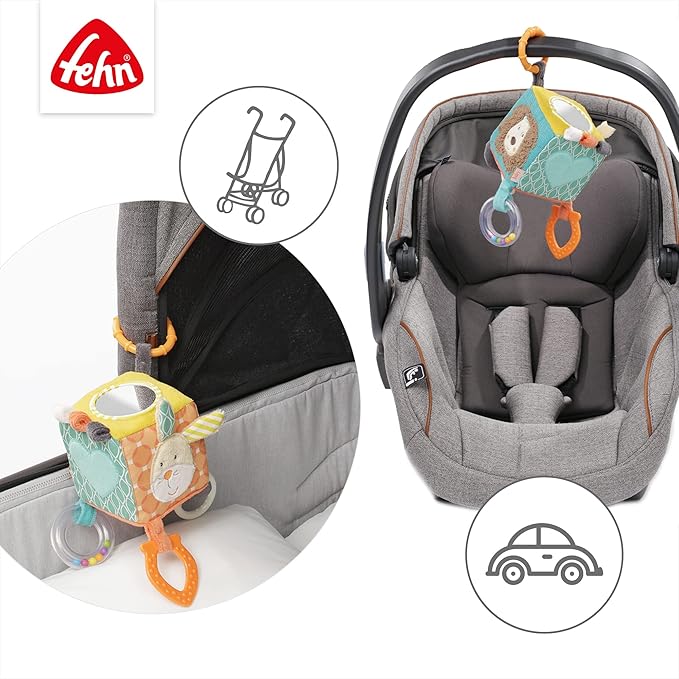 Fehn Activity Cube