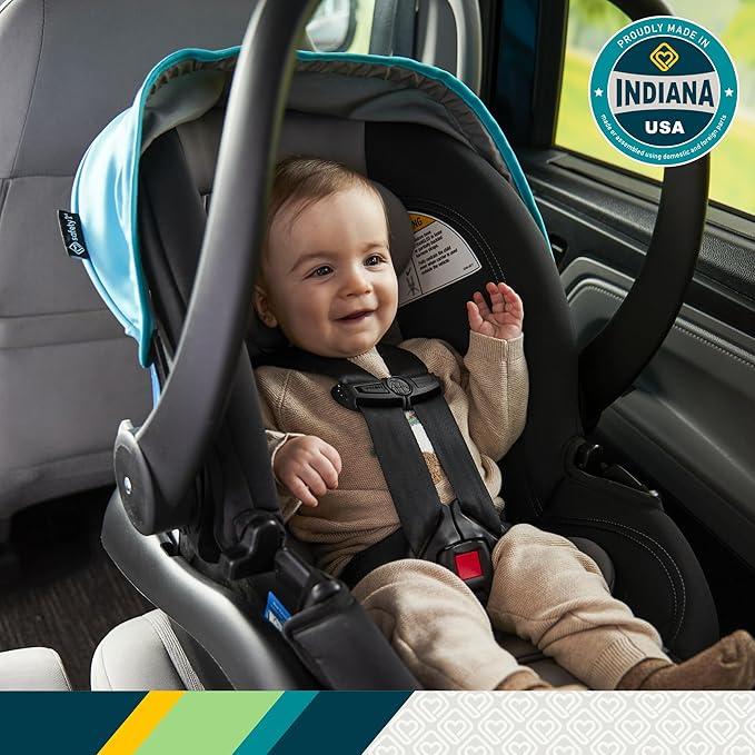 Safety 1st OnBoard FLX Infant Car Seat, Wisteria Lane 2