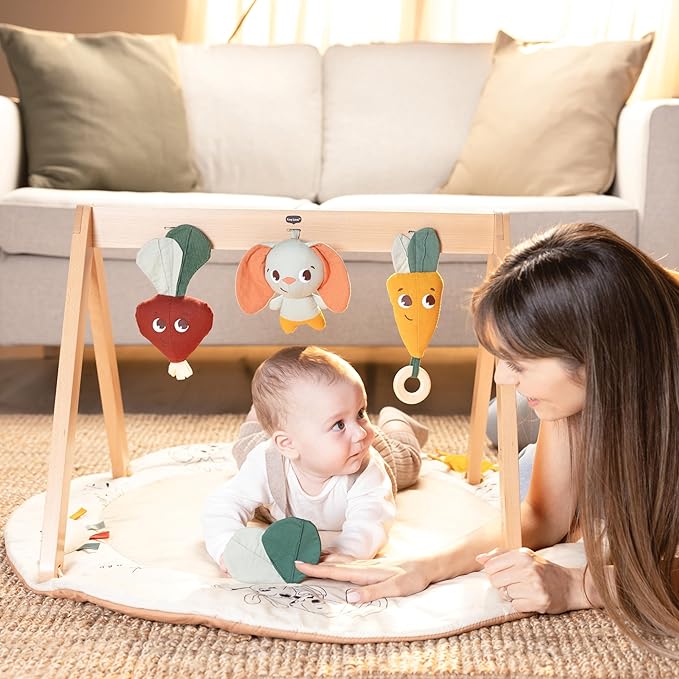 Tiny Love Gardens of Adventure, Luxe Developmental Gymini