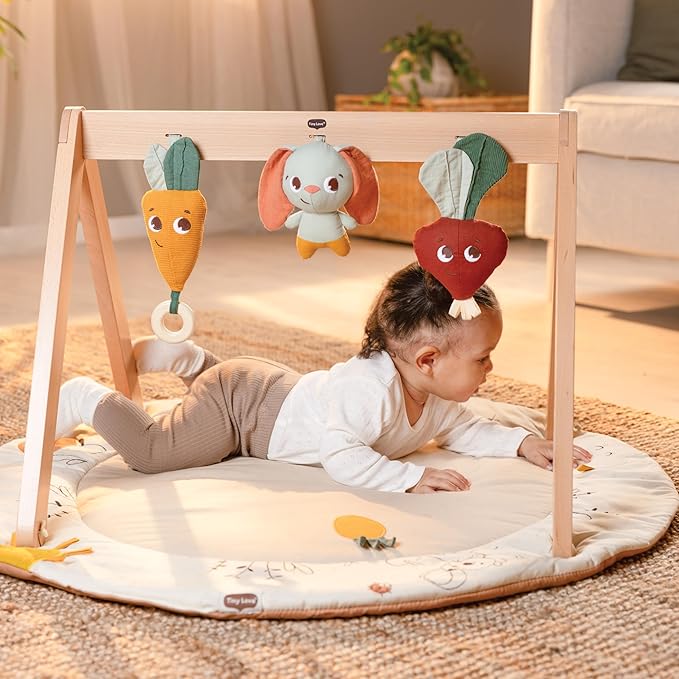 Tiny Love Gardens of Adventure, Luxe Developmental Gymini