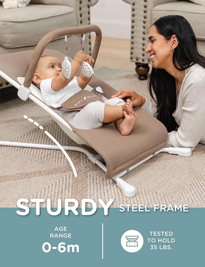 Baby Delight Highland Organic Baby Bouncer | Infant | 0 – 6 Months | 3-Position Recline | Organic Mocha