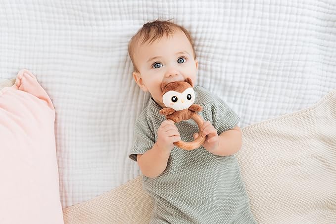 Pearhead Owl Wooden Baby Teether – Soft Plush Lovey with Natural Wood Rattle Ring, BPA-Free, Soothes Infant Gums, Multi-Sensory Newborn Essential for Boys and Girls, 0+ Months