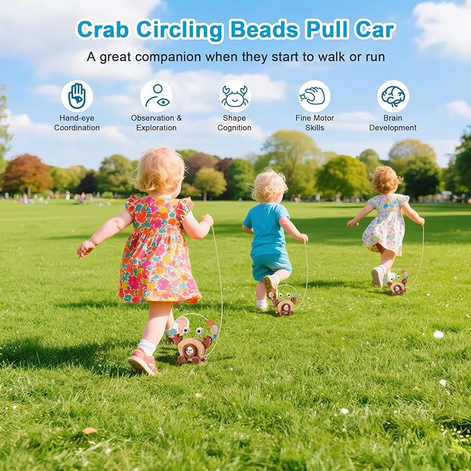 Pull-Along Walking Toys for Babies 12 Months +,4 in 1 Push and Pull Toy for Toddlers Aged 1-2 and 3-4 Years Old, Wooden Baby Toys, Montessori Early Development Sensory Toy