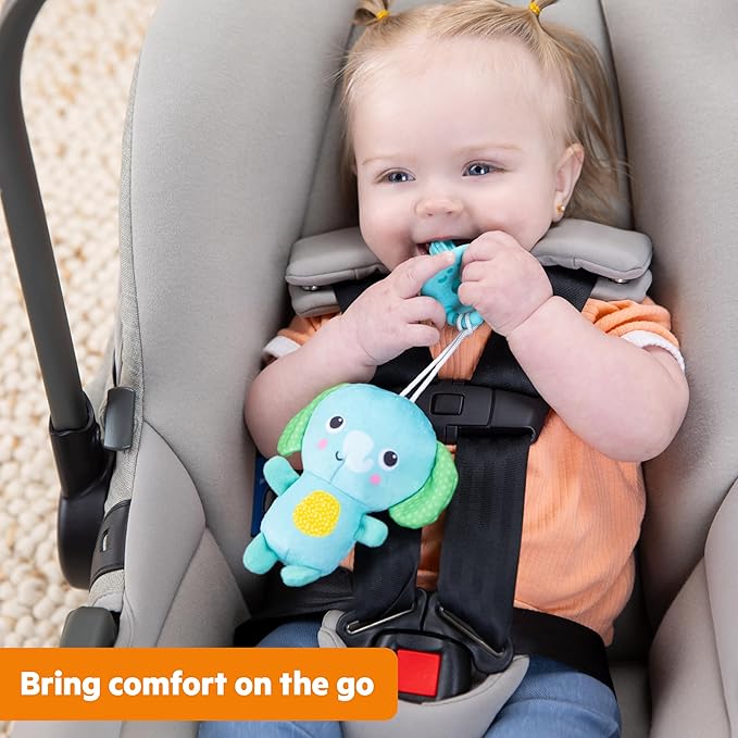 Bright Starts SootheMate Plush Elephant Teether Toy with Detachable Silicone Teether, Unisex, Newborns & Up