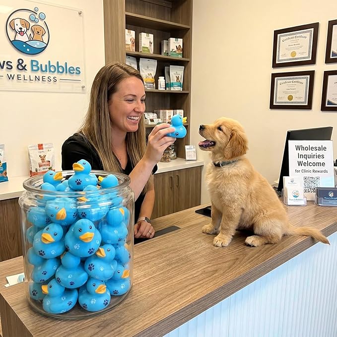 60 Pcs Blue Dog Paw Party Favors - 2 Inch Rubber Duck in Bulk Mini Duckies for Ducking, Tiny Ducks for Kids Birthday Party Gifts Baby Shower Bath Time Piñata Fillers Gift Bag Stuffers