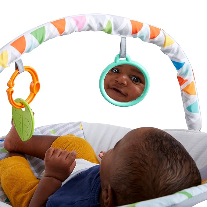 Bright Starts Baby Bouncer Soothing Vibrations Infant Seat - Removable -Toy Bar, Nonslip Feet, 0-6 Months Up to 20 lbs (Safari Fun)