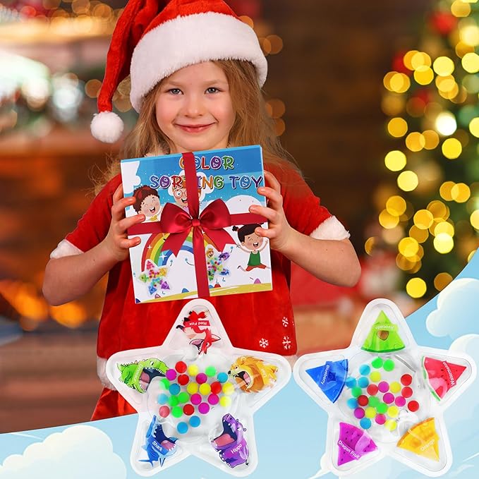 2PCS Color Sorting Sensory Toys for Toddlers, Color Matching Fidget Toys for Calming, Preschool Learning Montessori Toy Travel Fine Motor Skills Game for Kids Boys Girls Ages 3-5