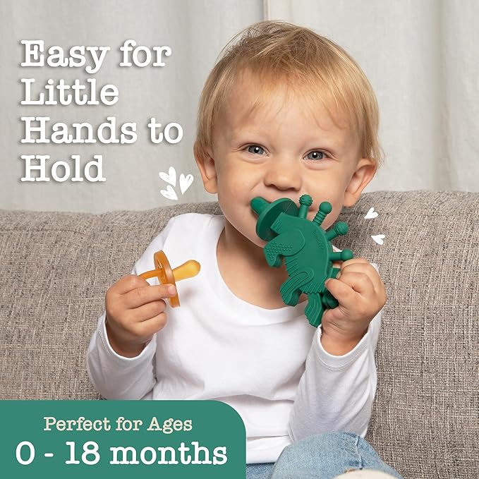 Bambeado Dibly Baby Teething Toy - Made with Natural Rubber & Amber Elements - Easy to Hold, Simple to Clean - Cute Dinosaur Teether Toy - Alternative to Amber Teething Necklace Green