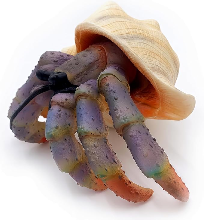 Gemini&Genius Sea Animal Hermit Crab Action Figure Toy for Kids, Soft Rubber Realistic Ocean Crab Educational and Role Play Toys for Kids and Collectors, Great Swimming and Bath Toys (Hermit Crab)