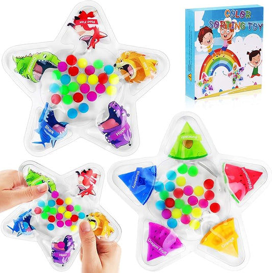 2PCS Color Sorting Sensory Toys for Toddlers, Color Matching Fidget Toys for Calming, Preschool Learning Montessori Toy Travel Fine Motor Skills Game for Kids Boys Girls Ages 3-5
