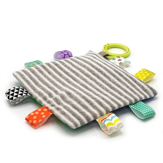 Taggies Soothing Sensory Crinkle Me Toy with Baby Paper and Squeaker, Harley Raccoon, 6.5 x 6.5-Inches