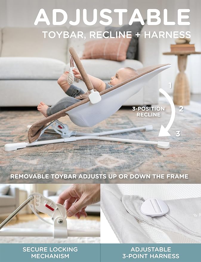 Baby Delight Highland Baby Bouncer | Infant | 0 – 6 Months | 3-Position Recline | Mocha Tweed