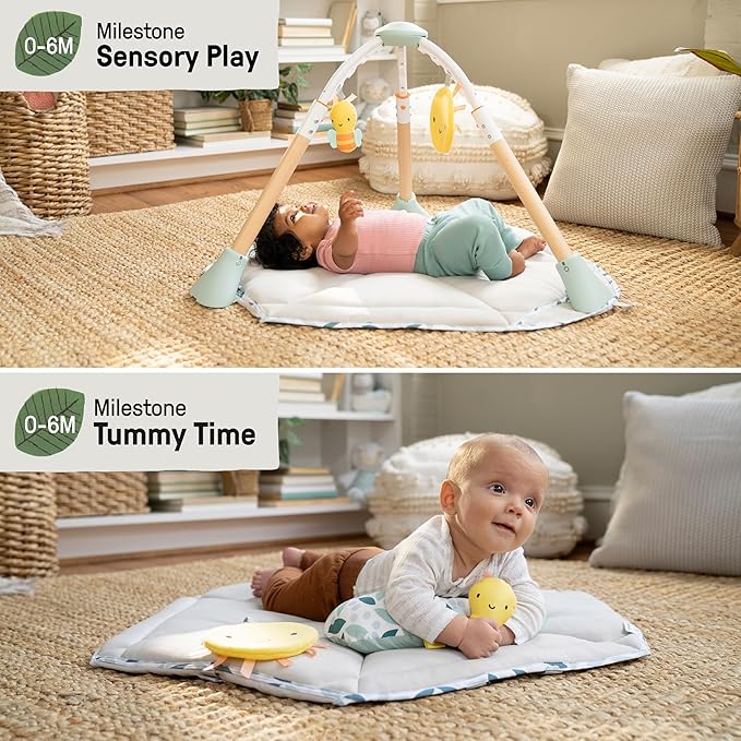 Ingenuity Tummy-to-Toes 6-in-1 Milestone Center, Play Gym, Foldable Mat, Music and Nature Sounds, Lights, Activity Jumper, Table, Playhouse, for Ages 0-48 Months