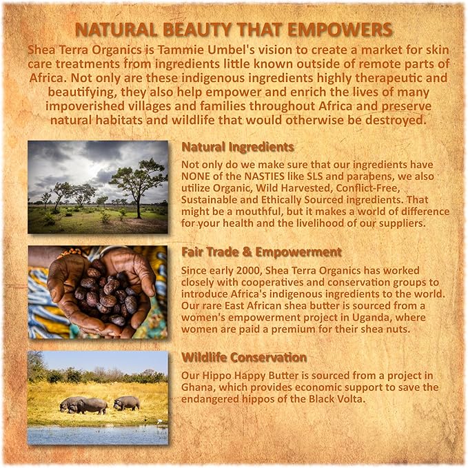 Shea Terra Organics Mama and Baby Collection | Bananas & Monkey Bread Baby Lotion | Non Toxic All Natural Emollient with Baobab and Shea Butter for Dry Skin – 16oz