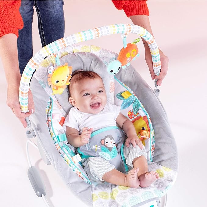 Bright Starts Comfy Baby Bouncer Soothing Vibrations Infant Seat - Taggies, Music, Removable -Toy Bar, 0-6 Months Up to 20 lbs (Whimsical Wild)