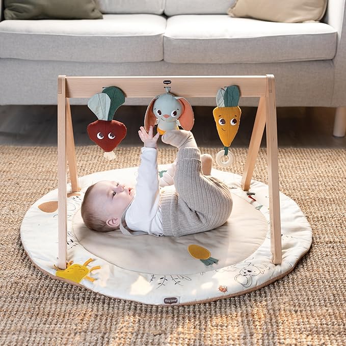Tiny Love Gardens of Adventure, Luxe Developmental Gymini