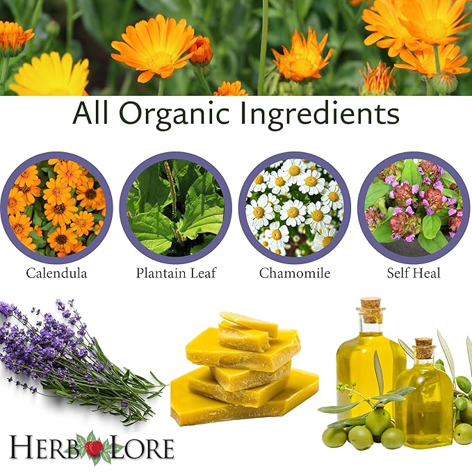 Herb Lore Healing Salve Ointment - Organic Baby Diaper Rash Cream – Natural Soothing Balm with Calendula for Cradle Cap, Drool Rash, Dry & Irritated Skin, Face & Body (1.8 oz)