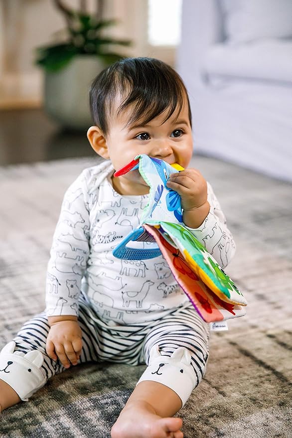 Baby Einstein Curious Explorers Teether Book Take-Along Toy, Ages Newborn +, Multicolored