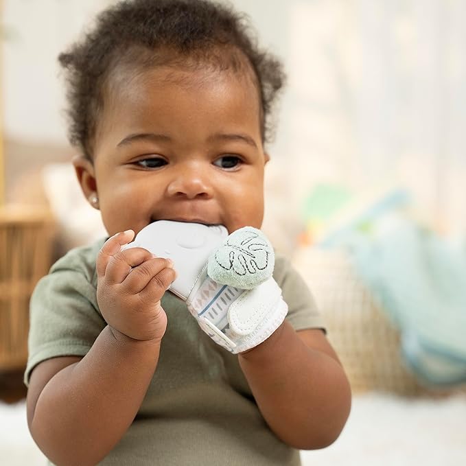 Ingenuity Teethers