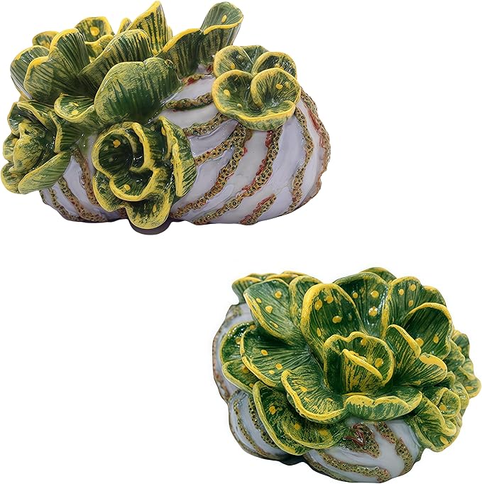 Gemini&Genius Hermit Crab Toys for Kids, Hermit Crab Action Figure, Hermitcrab Figurine Toy, Under The Sea Life Figure Educational Gifts, Displays Play Toys, Collection Toys for Kids Animal Lovers