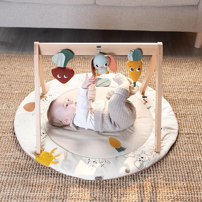 Tiny Love Gardens of Adventure, Luxe Developmental Gymini